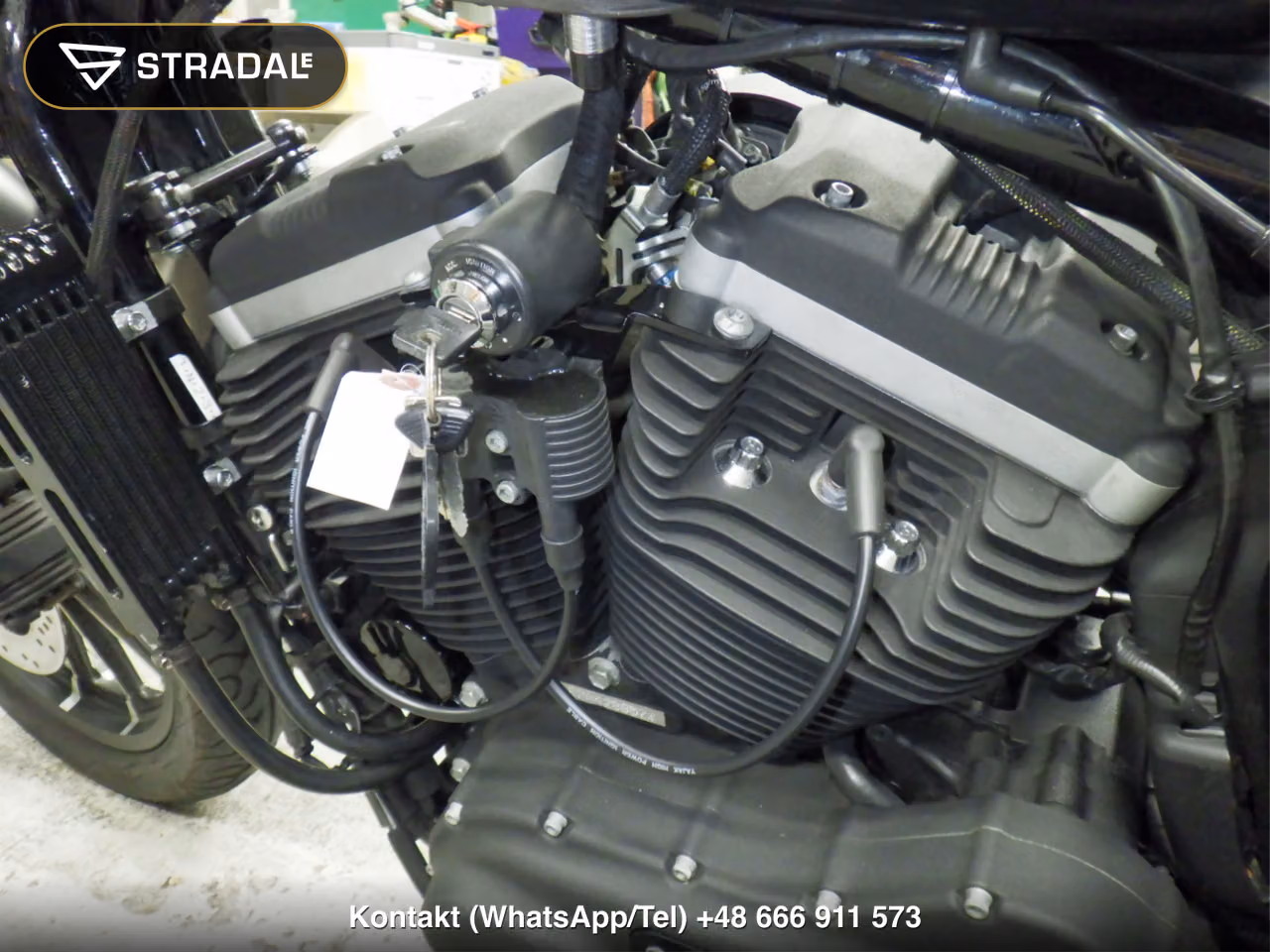 HARLEY-DAVIDSON XL883N, miniaturka 3
