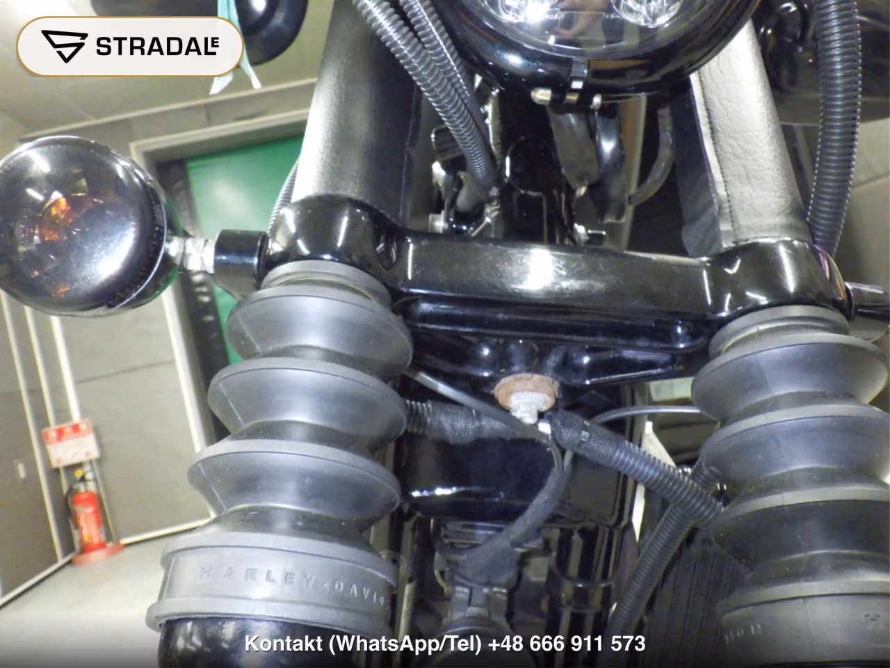HARLEY-DAVIDSON XL883N, miniaturka 9