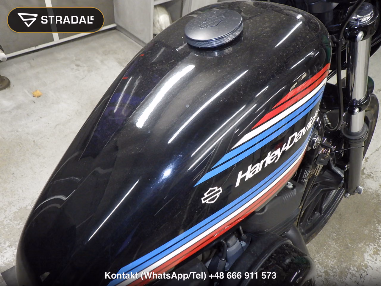 HARLEY-DAVIDSON XL1200NS, miniaturka 11