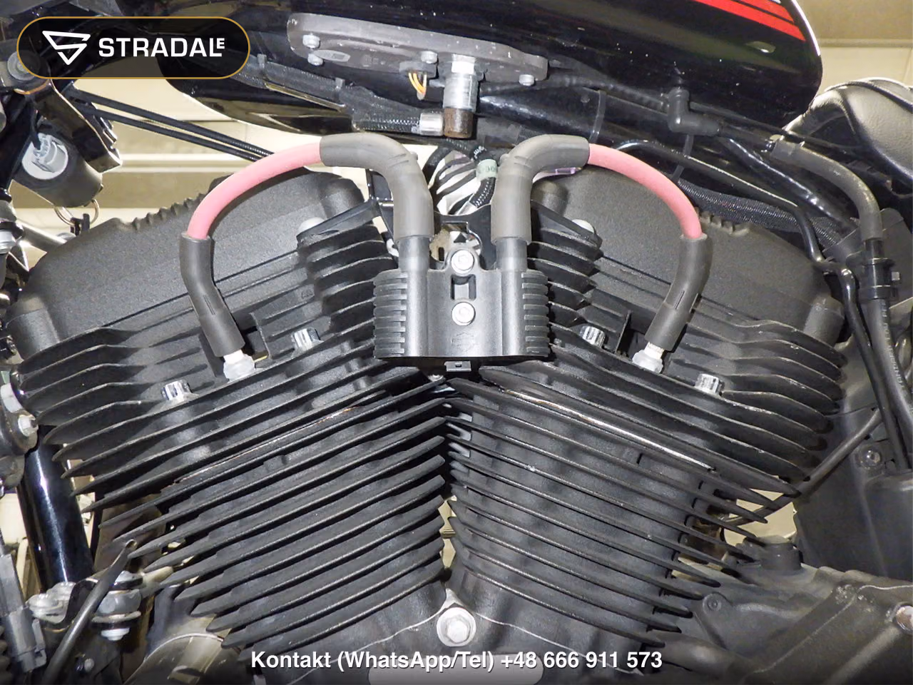 HARLEY-DAVIDSON XL1200NS, miniaturka 5
