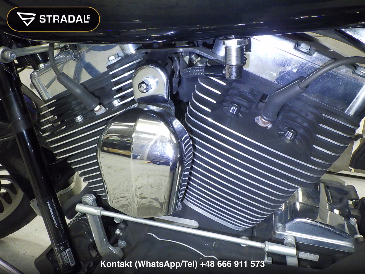 HARLEY-DAVIDSON XL1200V, miniaturka 4