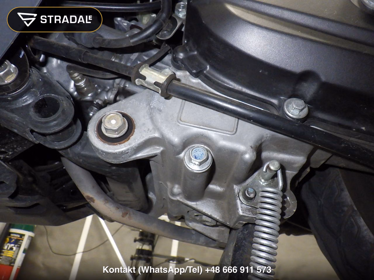 HONDA ﾀｸﾄ-4ﾍﾞｰｼｯｸ, miniaturka 5