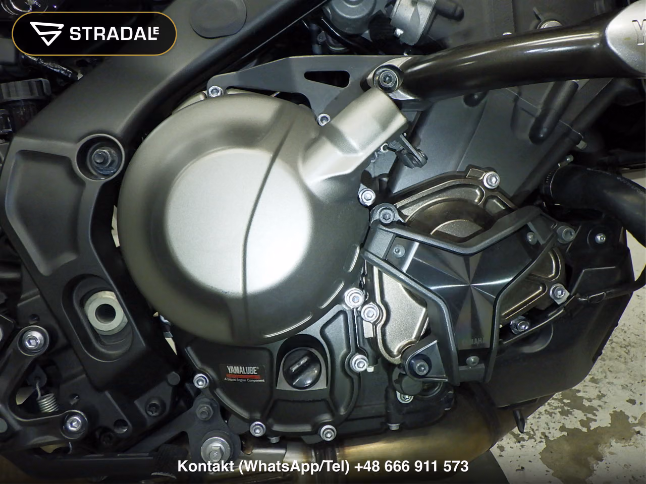 YAMAHA XSR900-2, miniaturka 2