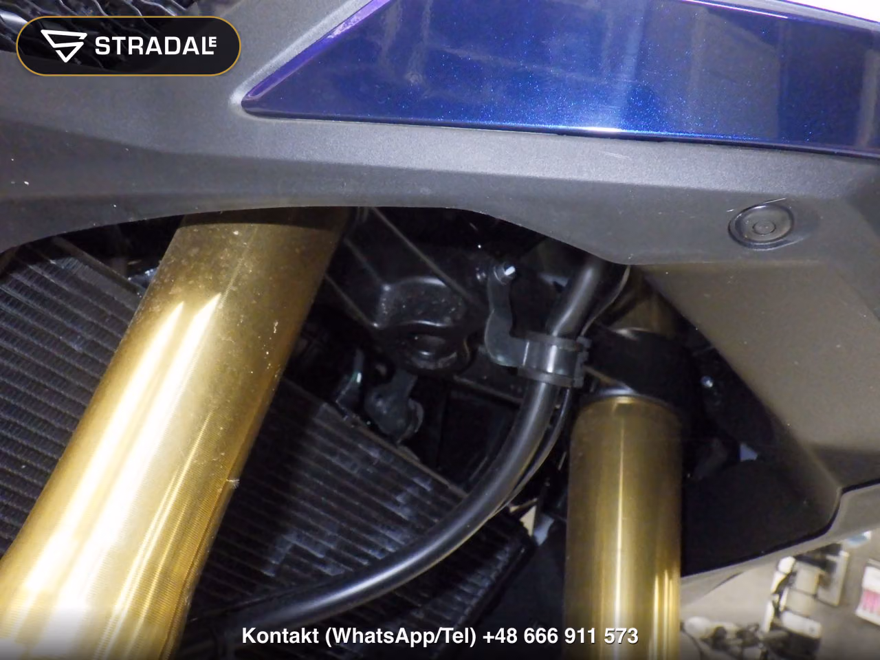 HONDA X-ADV750-2, miniaturka 9