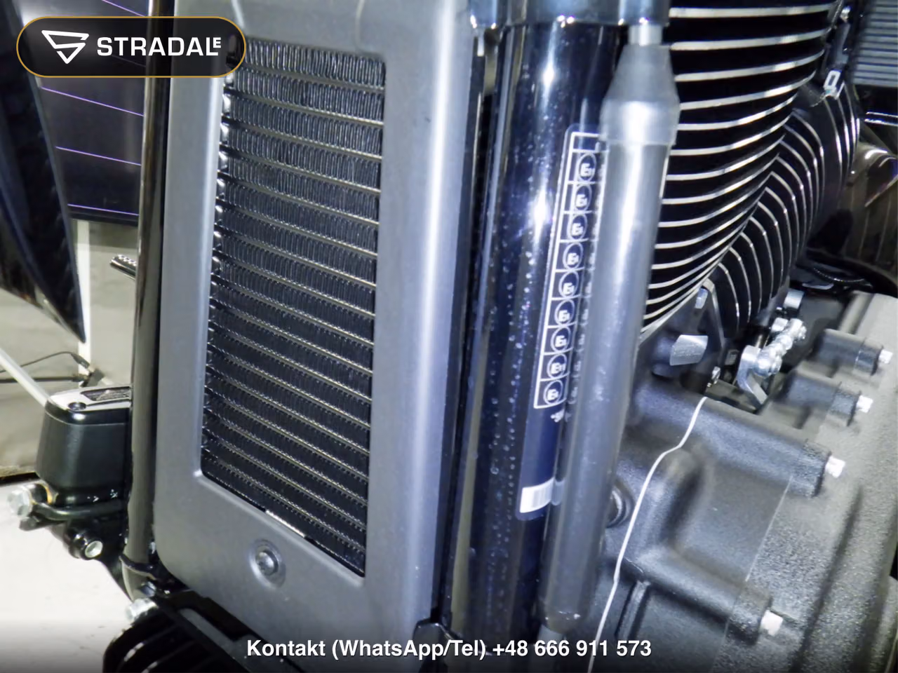 HARLEY-DAVIDSON FXLRST1920, miniaturka 4