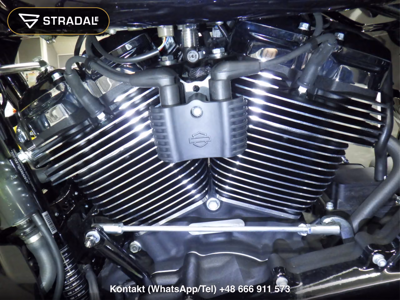 HARLEY-DAVIDSON FLHX1920, miniaturka 3