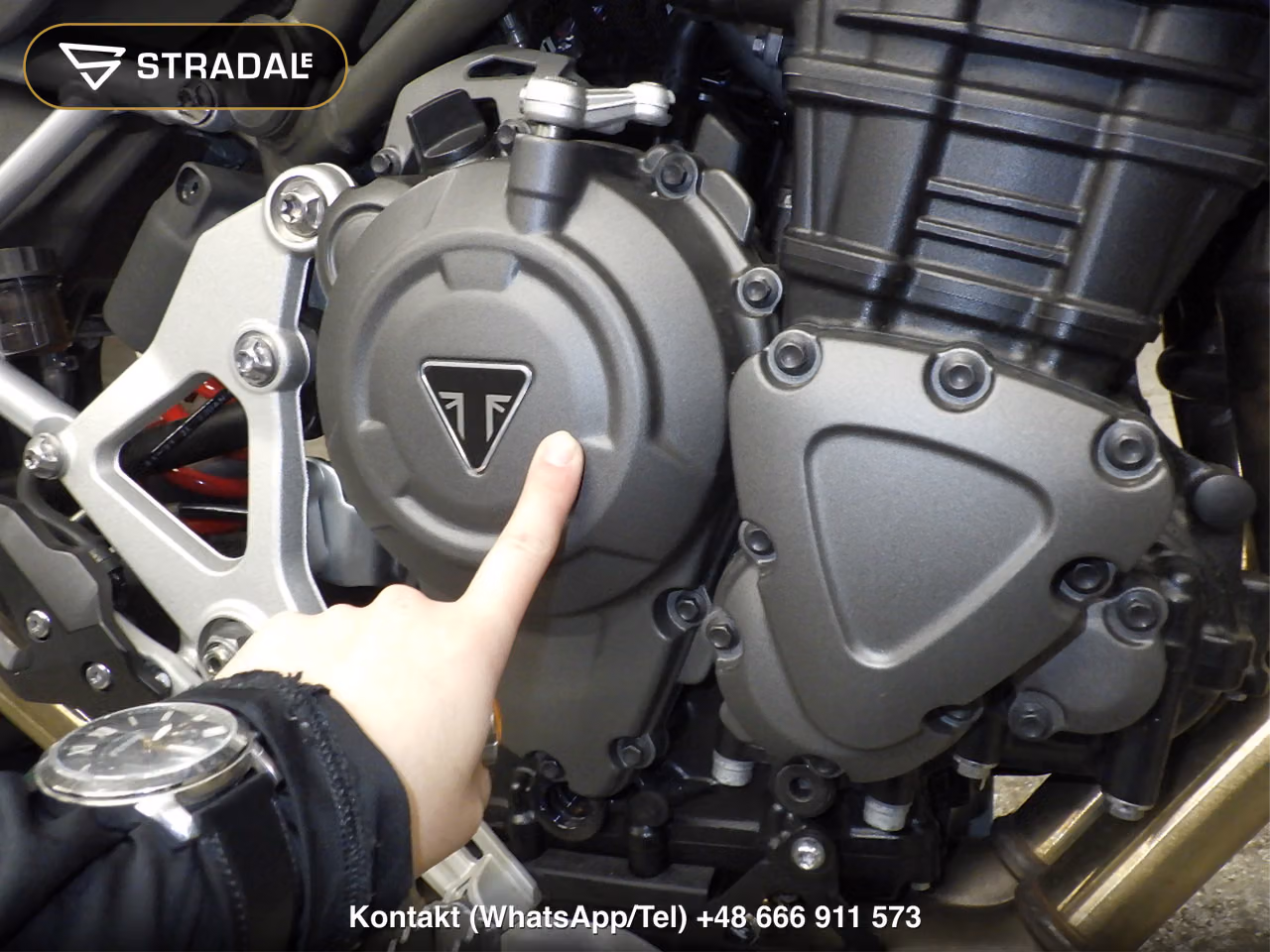TRIUMPH ﾀｲｶﾞｰ1200GTPRO, miniaturka 2