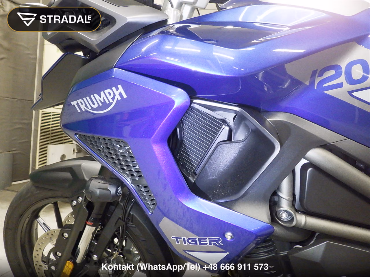 TRIUMPH ﾀｲｶﾞｰ1200GTPRO, miniaturka 11