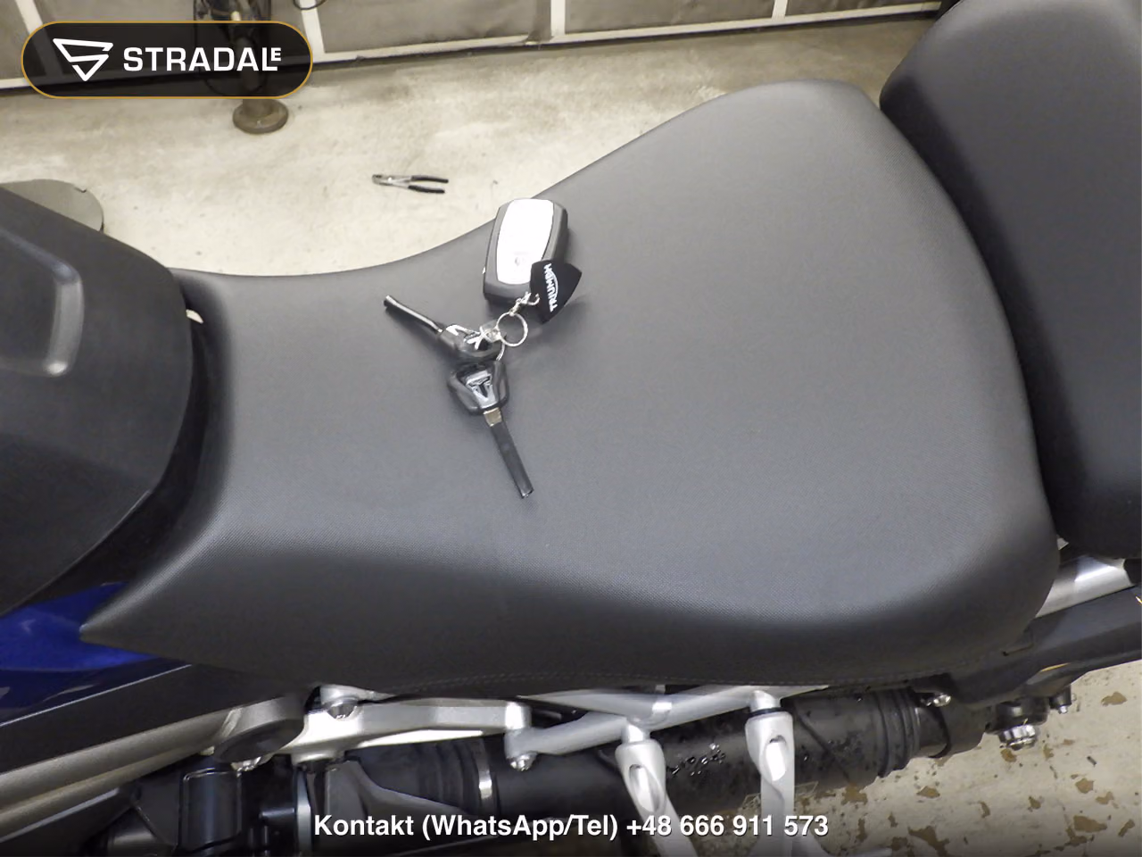 TRIUMPH ﾀｲｶﾞｰ1200GTPRO, miniaturka 12