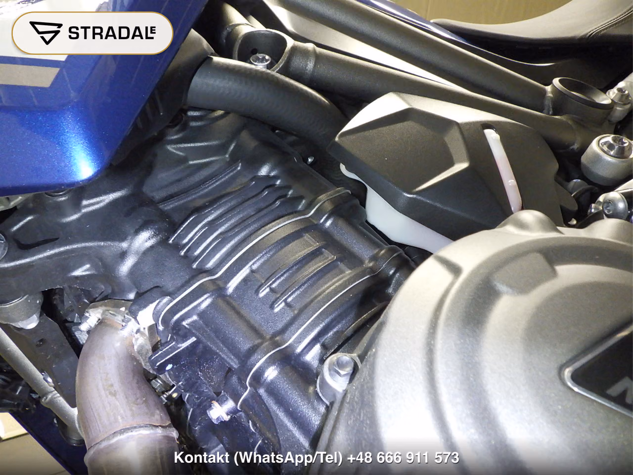 TRIUMPH ﾀｲｶﾞｰ1200GTPRO, miniaturka 4