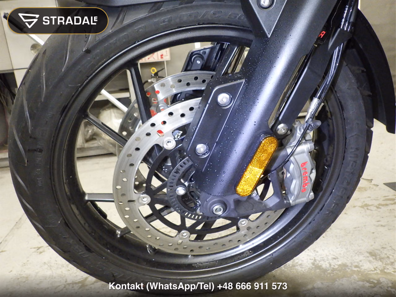 TRIUMPH ﾀｲｶﾞｰ1200GTPRO, miniaturka 8