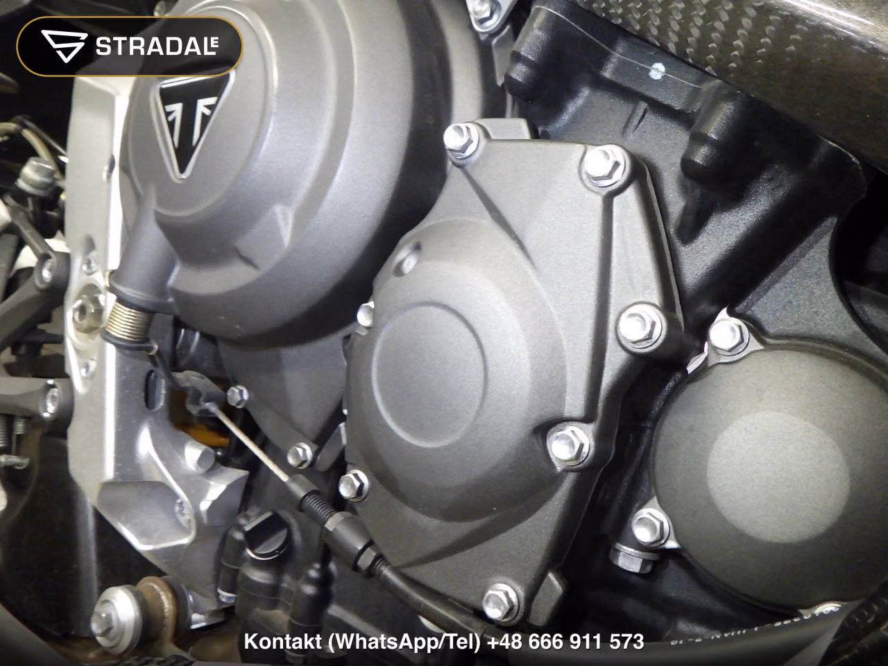 TRIUMPH ﾃﾞｲﾄﾅMOTO2, miniaturka 3