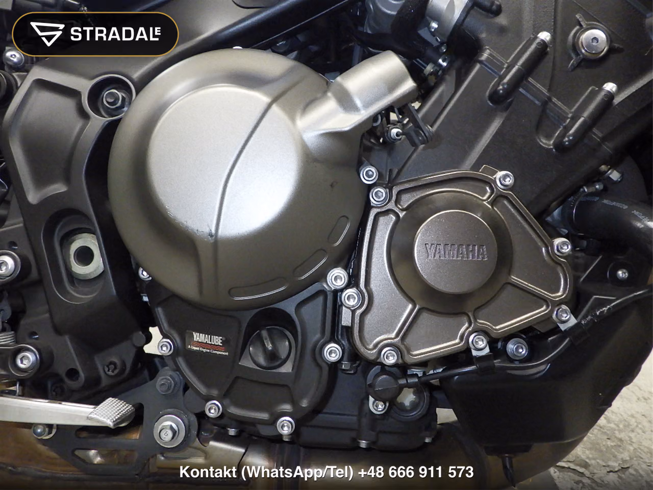 YAMAHA XSR900-2, miniaturka 2