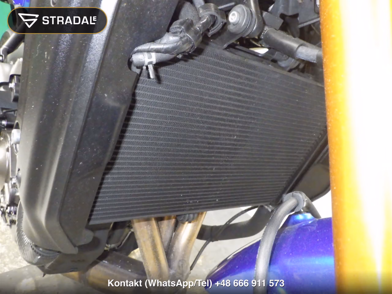 YAMAHA XSR900-2, miniaturka 3