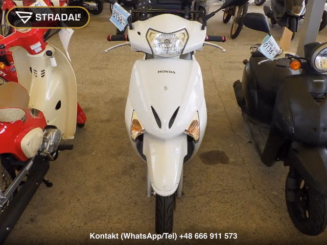 HONDA ﾘｰﾄﾞ110, miniaturka 6