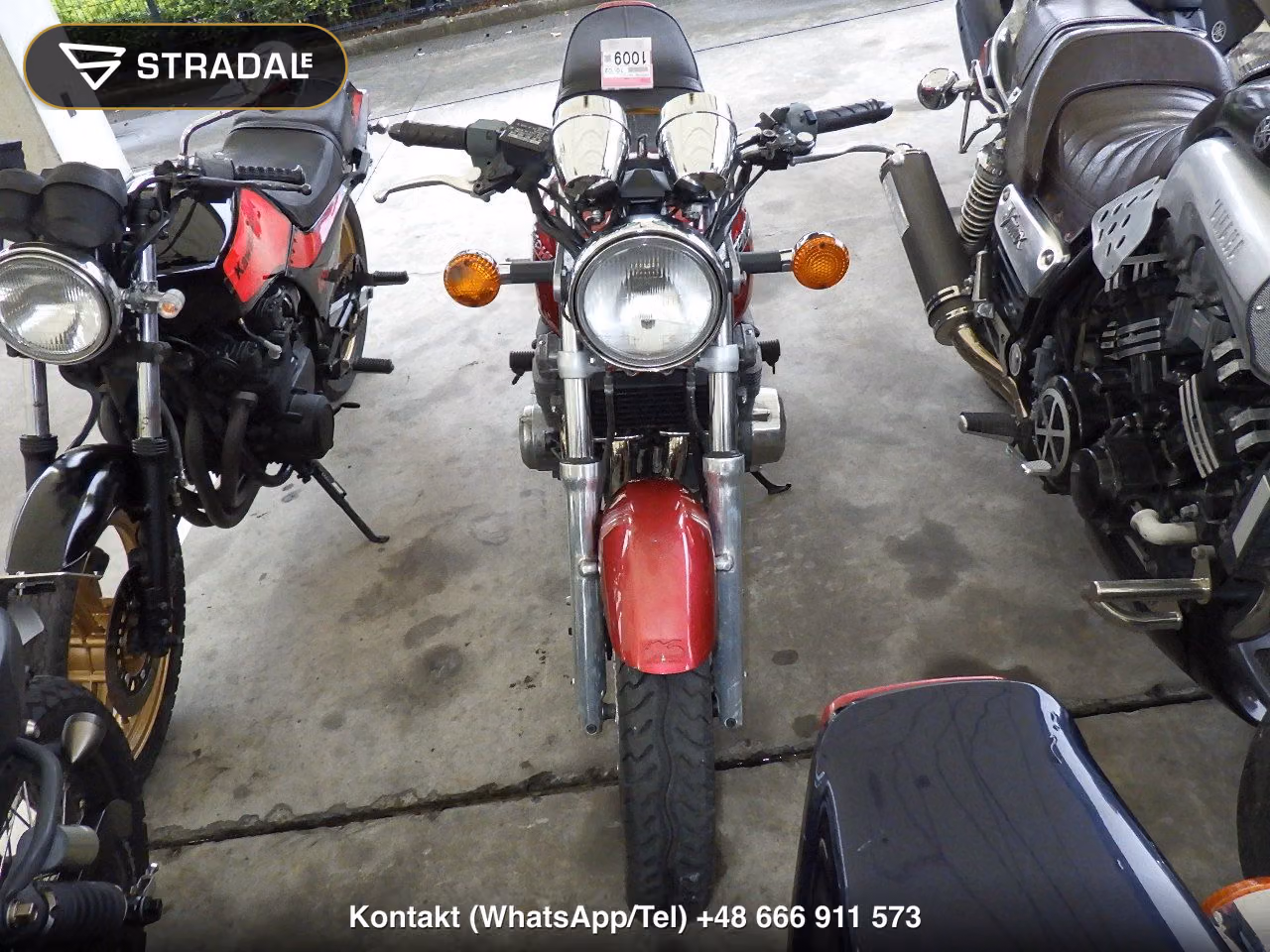 KAWASAKI ZEPHYR550(ﾂｳｶﾝｼｮ), miniaturka 6