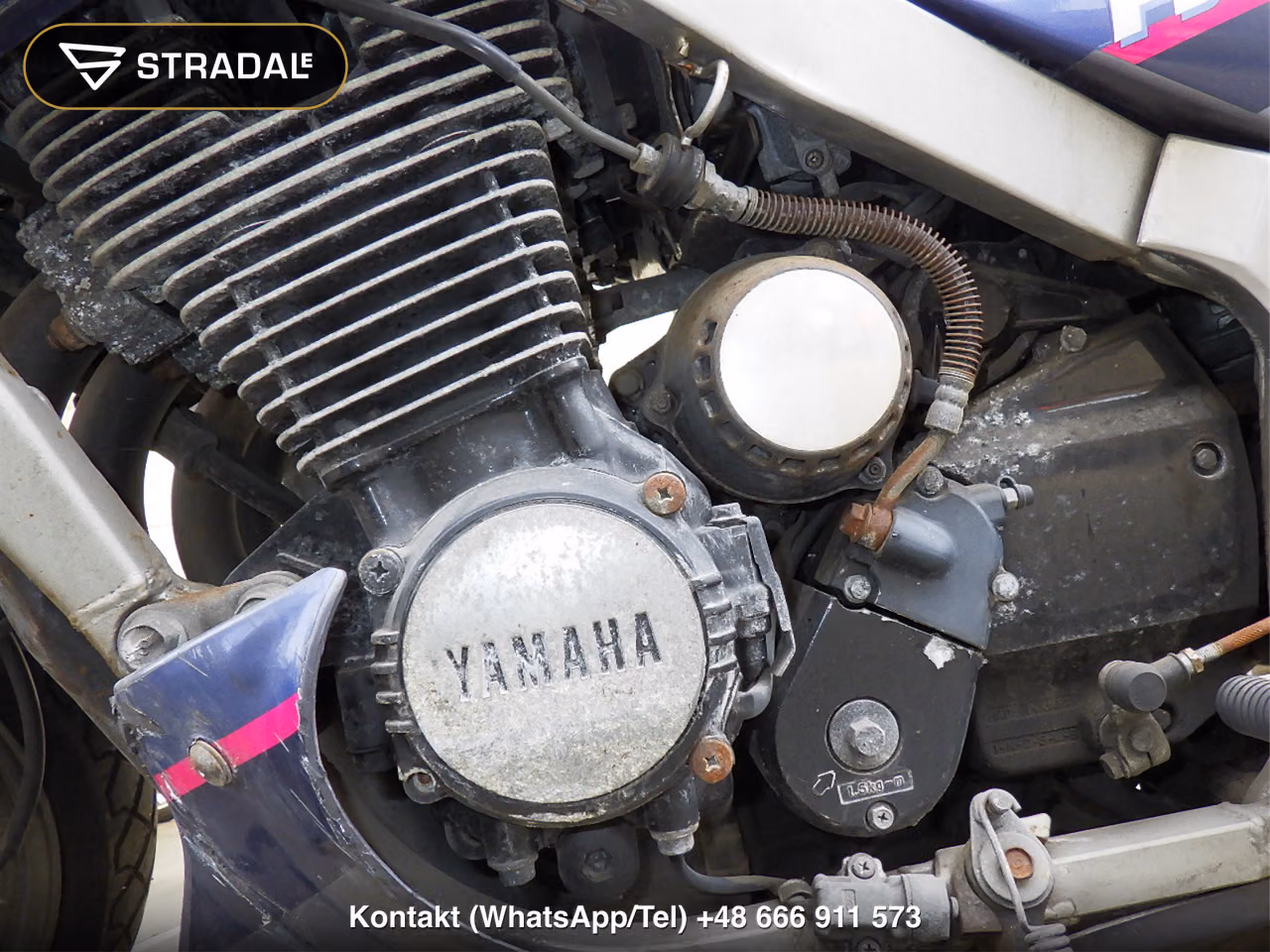 YAMAHA FJ1200(ｼｮﾙｲﾅｼ), miniaturka 4