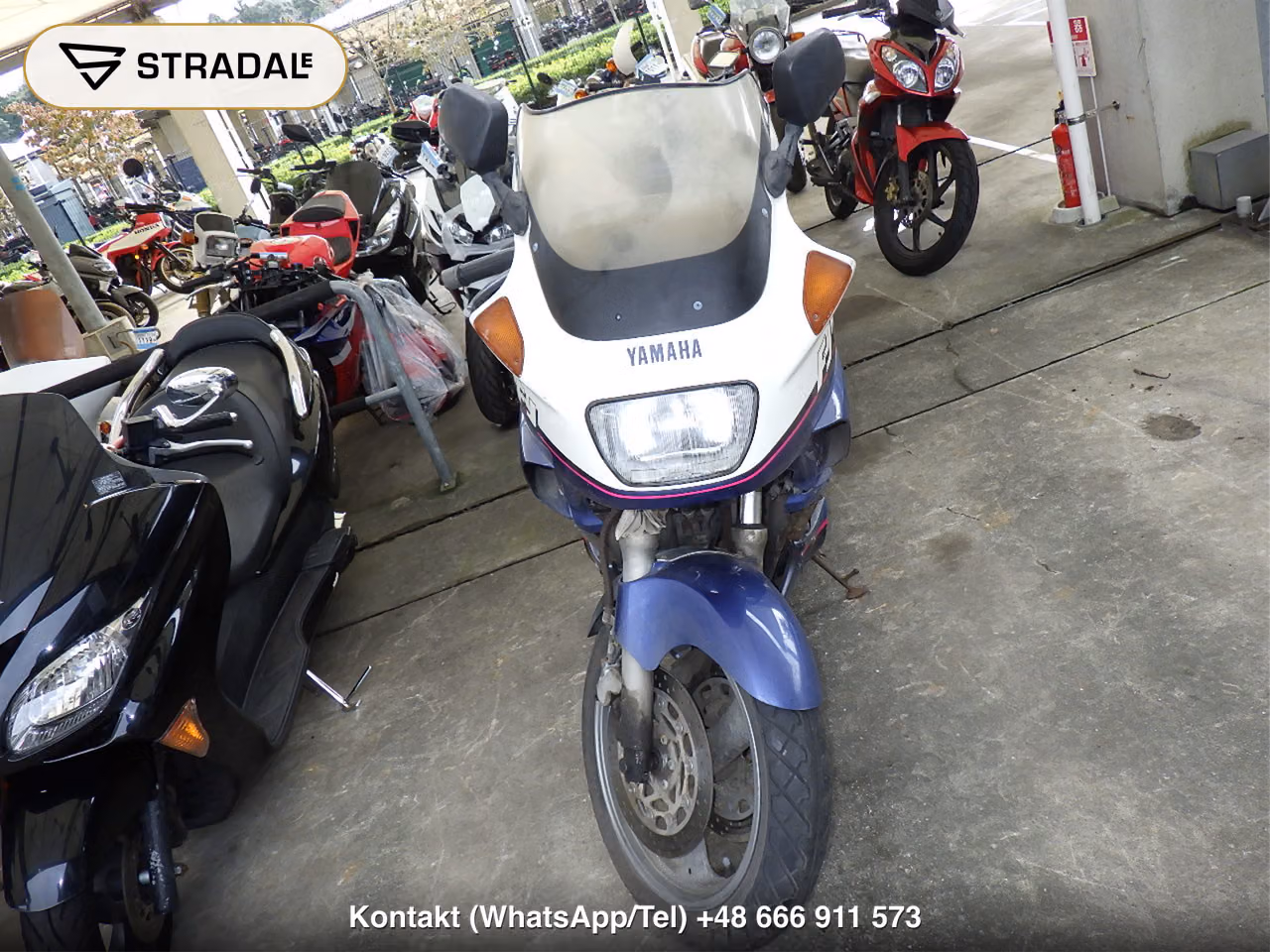 YAMAHA FJ1200(ｼｮﾙｲﾅｼ), miniaturka 6