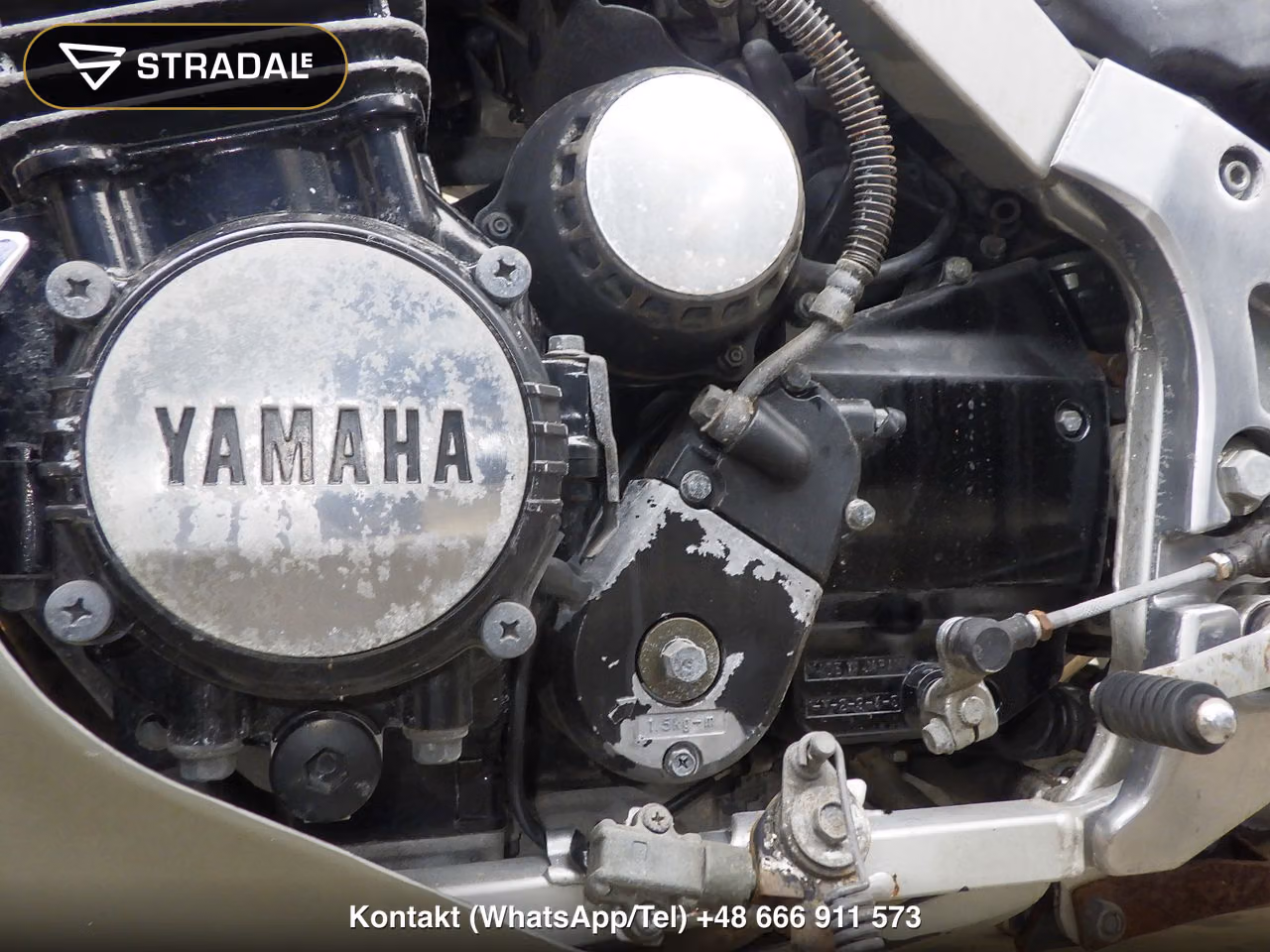 YAMAHA FJ1200(ｼｮﾙｲﾅｼ), miniaturka 4