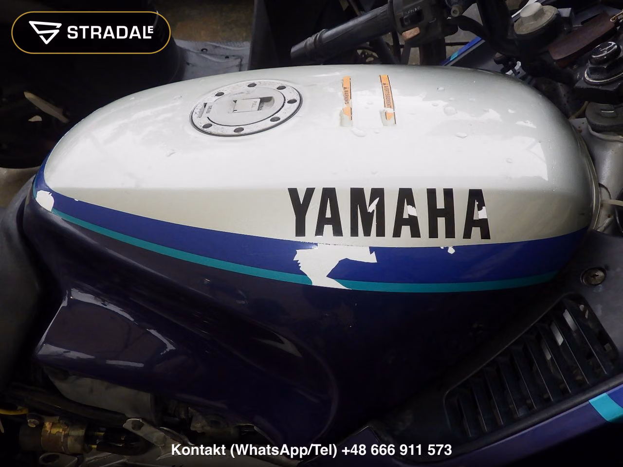 YAMAHA FJ1200(ｼｮﾙｲﾅｼ), miniaturka 10