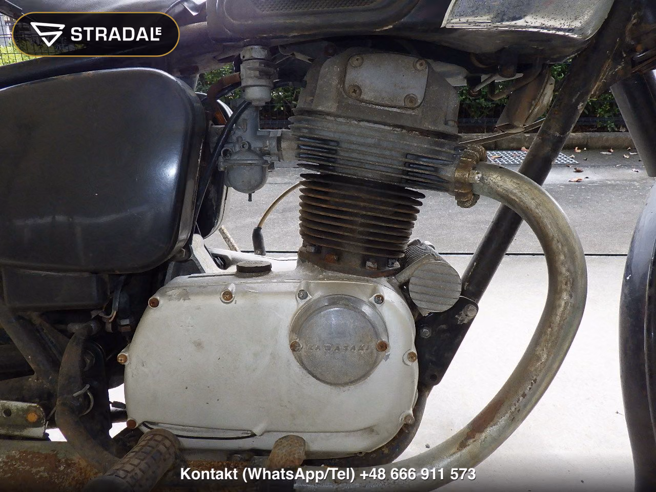 KAWASAKI ﾒｸﾞﾛ250SG(ｼｮﾙｲﾅｼ), miniaturka 3