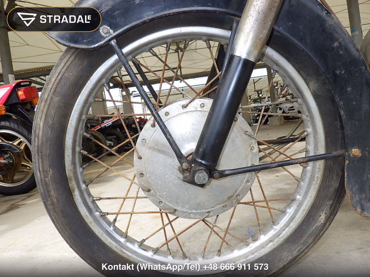 KAWASAKI ﾒｸﾞﾛ250SG(ｼｮﾙｲﾅｼ), miniaturka 7