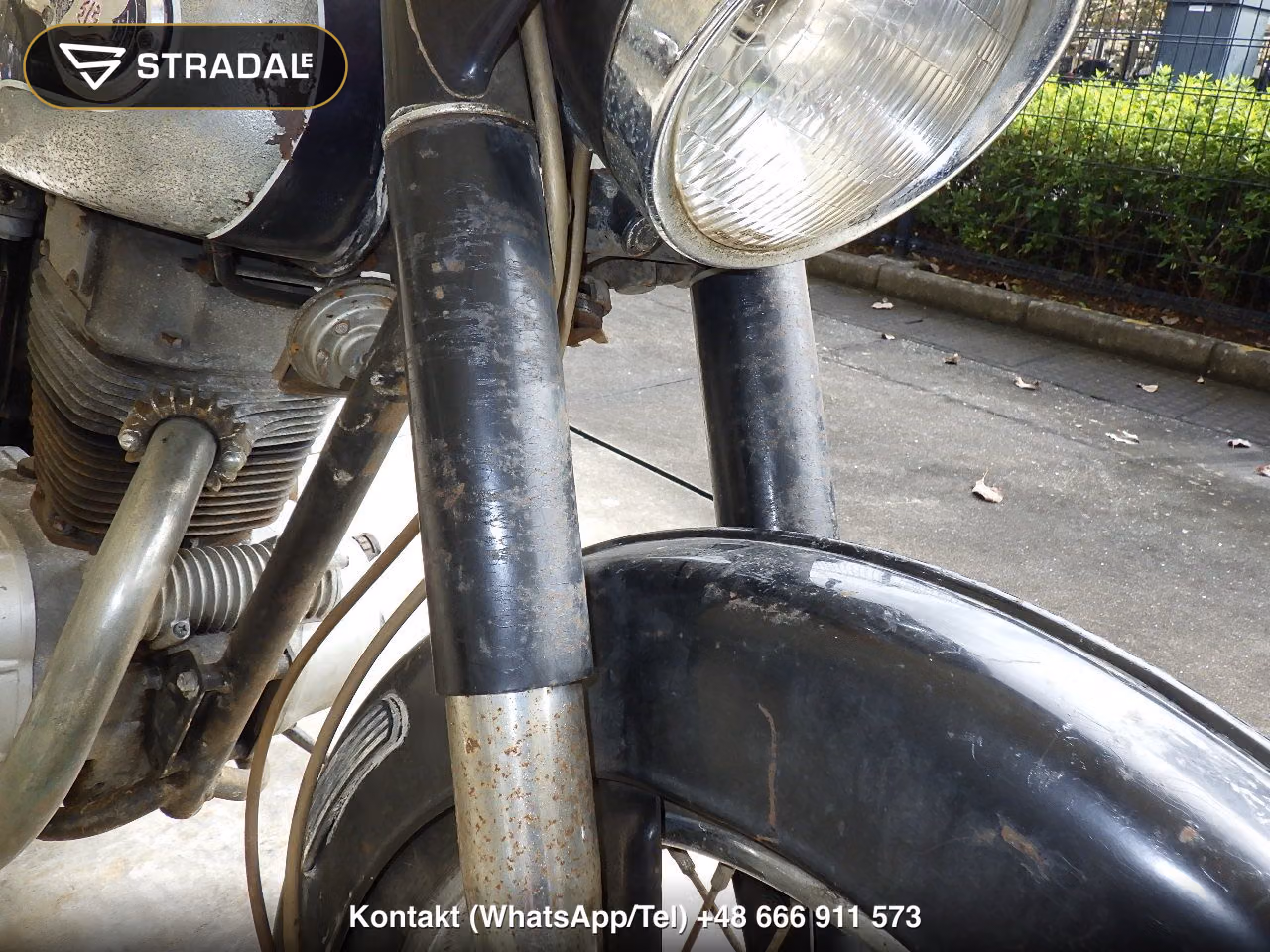 KAWASAKI ﾒｸﾞﾛ250SG(ｼｮﾙｲﾅｼ), miniaturka 8