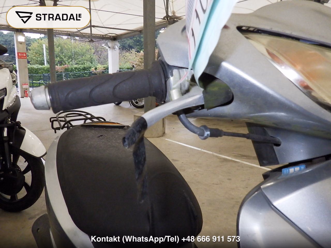 HONDA DIO-6, miniaturka 7