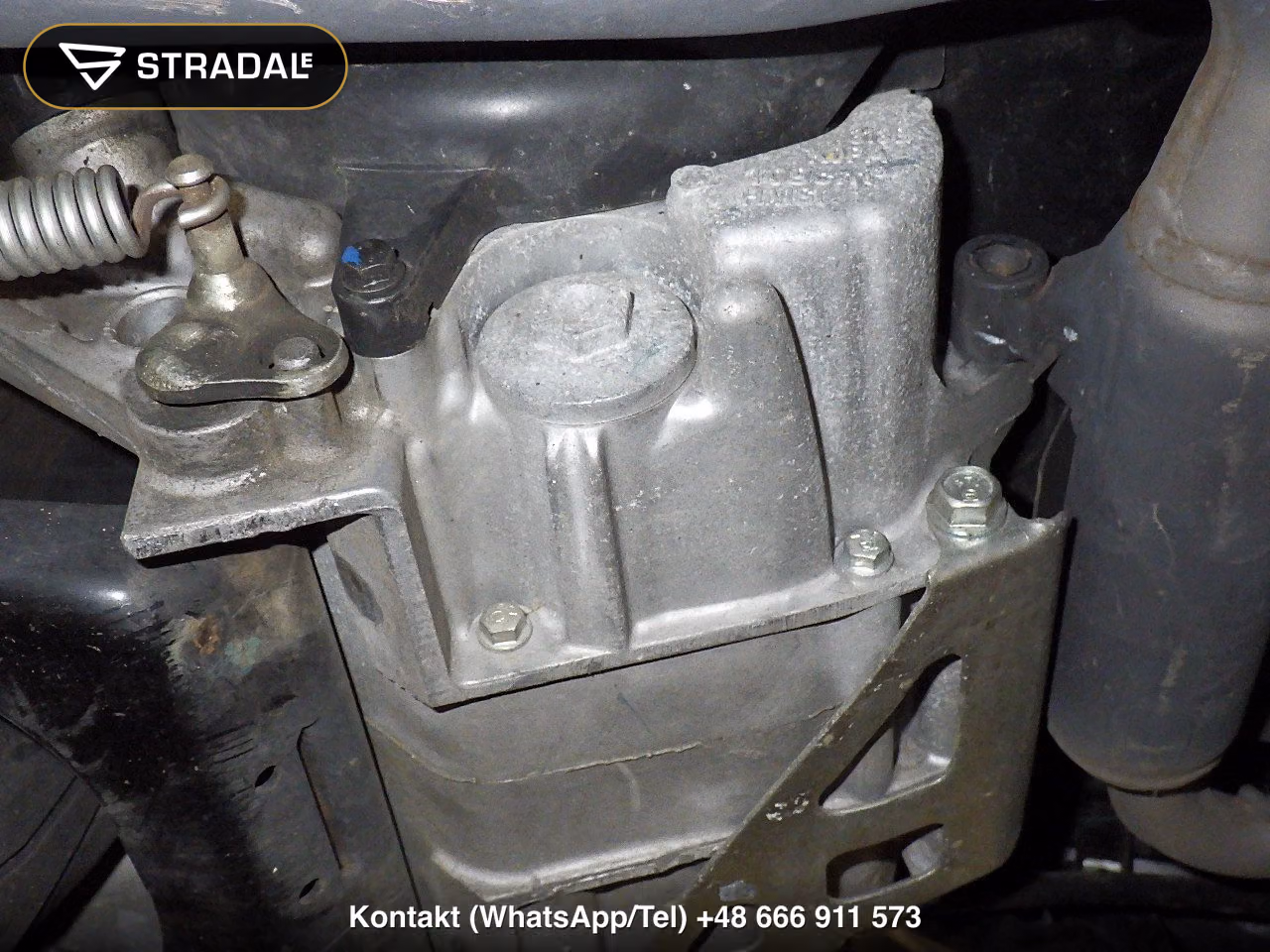 HONDA DIO110DX, miniaturka 3