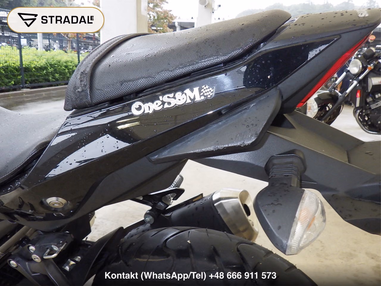 SUZUKI GSX250R, miniaturka 12