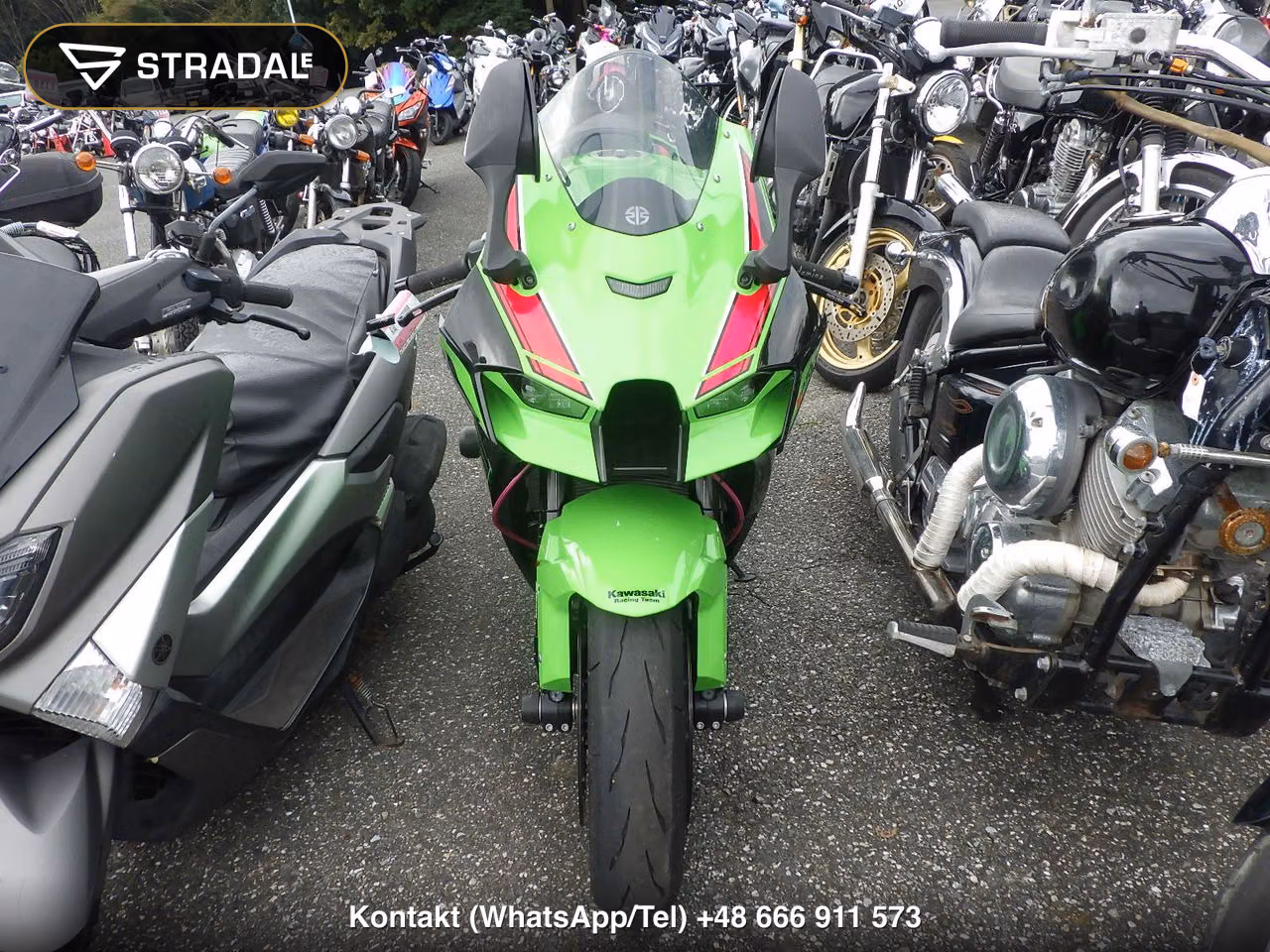 KAWASAKI ZX-10RA, miniaturka 6