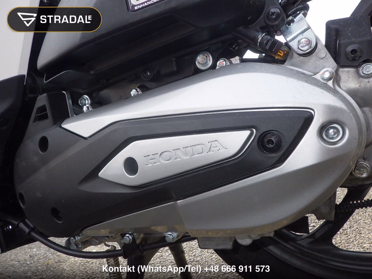 HONDA DIO110LITE, miniaturka 3
