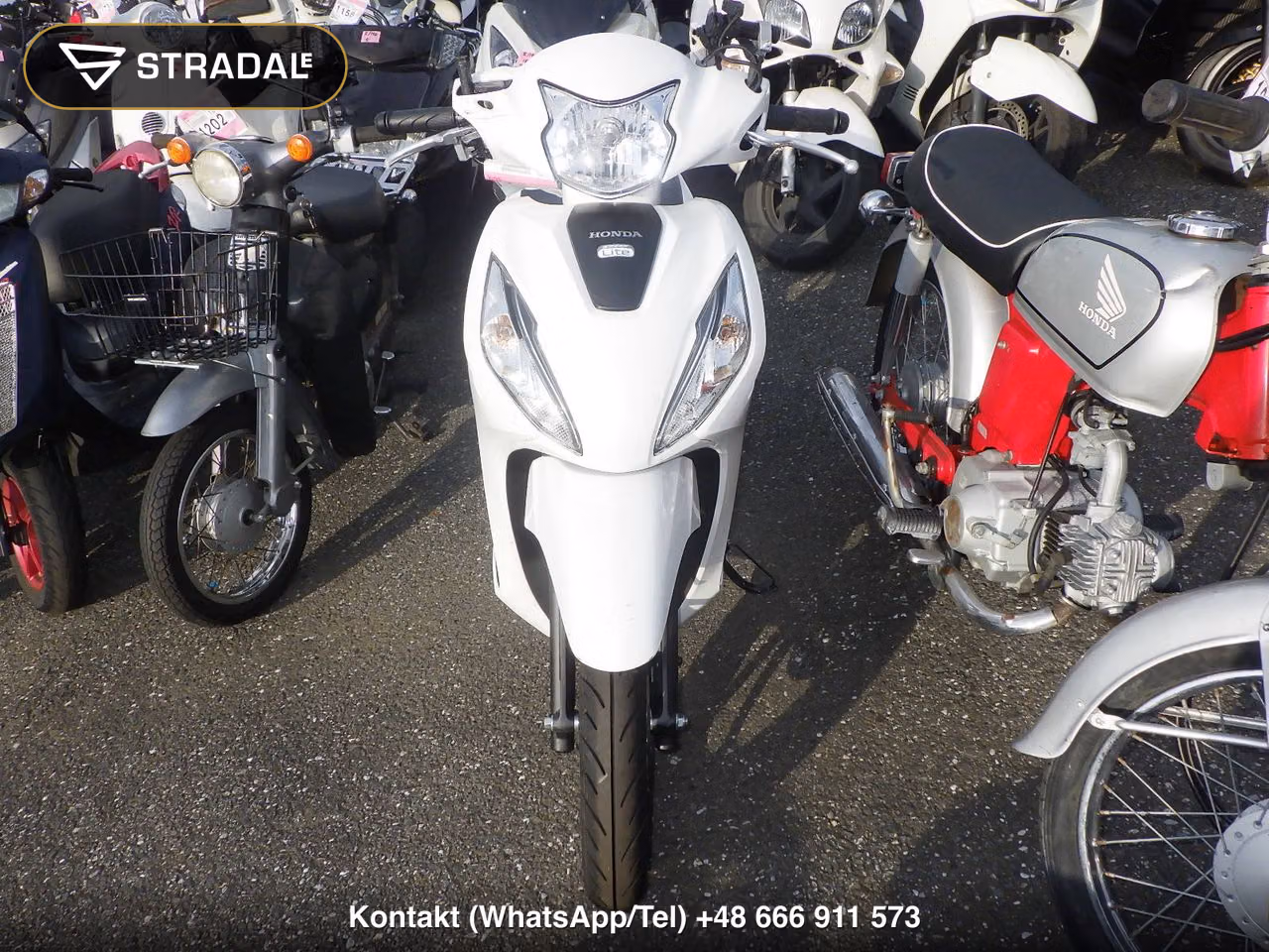 HONDA DIO110LITE, miniaturka 6