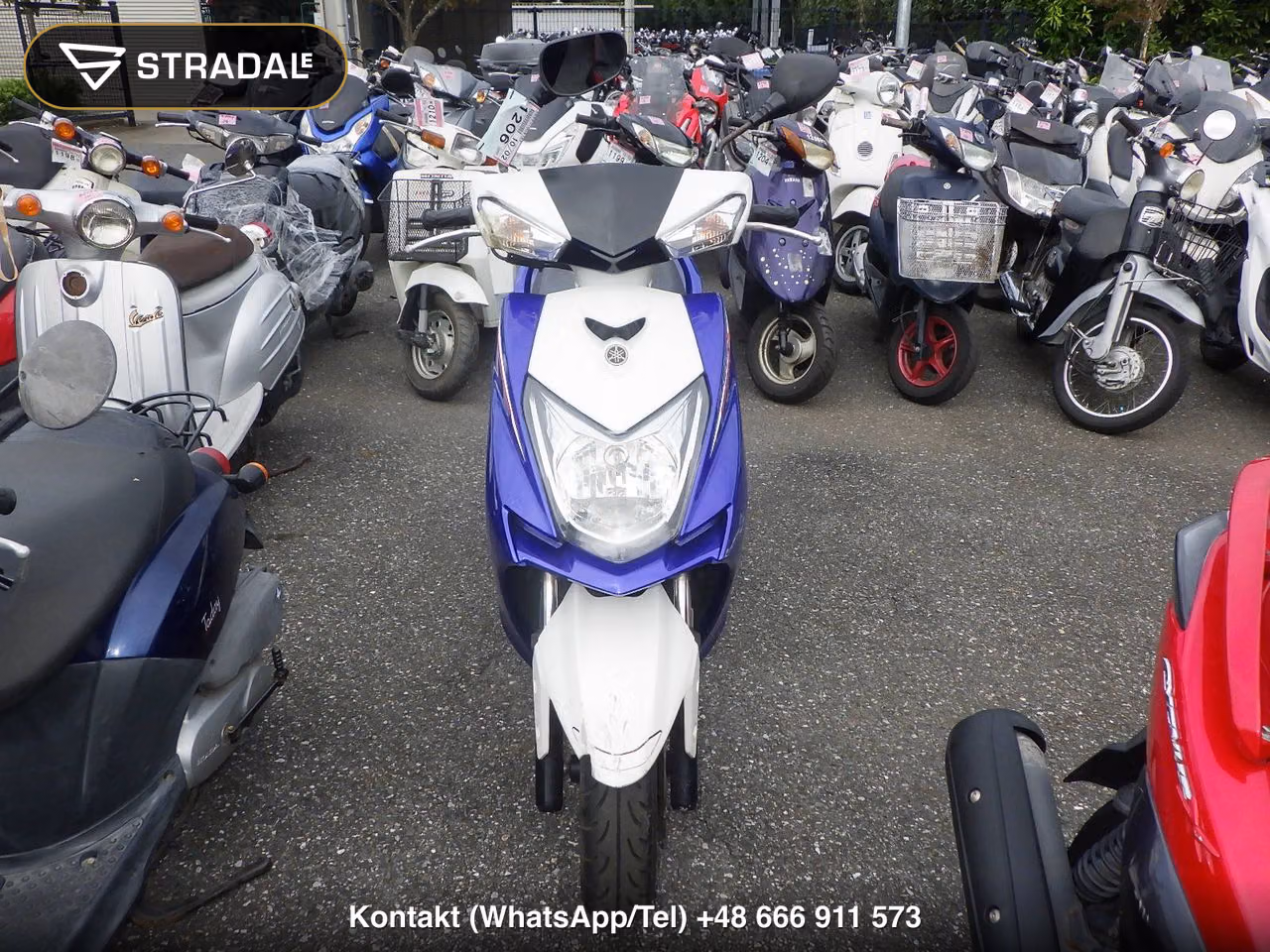 YAMAHA ｼｸﾞﾅｽ125XSR-3, miniaturka 6