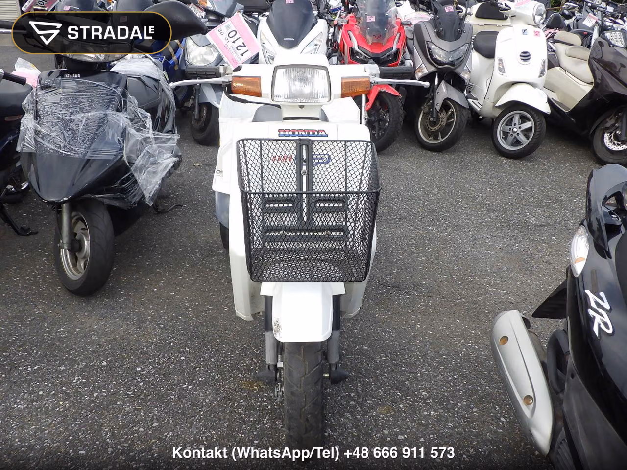 HONDA ｼﾞｬｲﾛUP, miniaturka 6