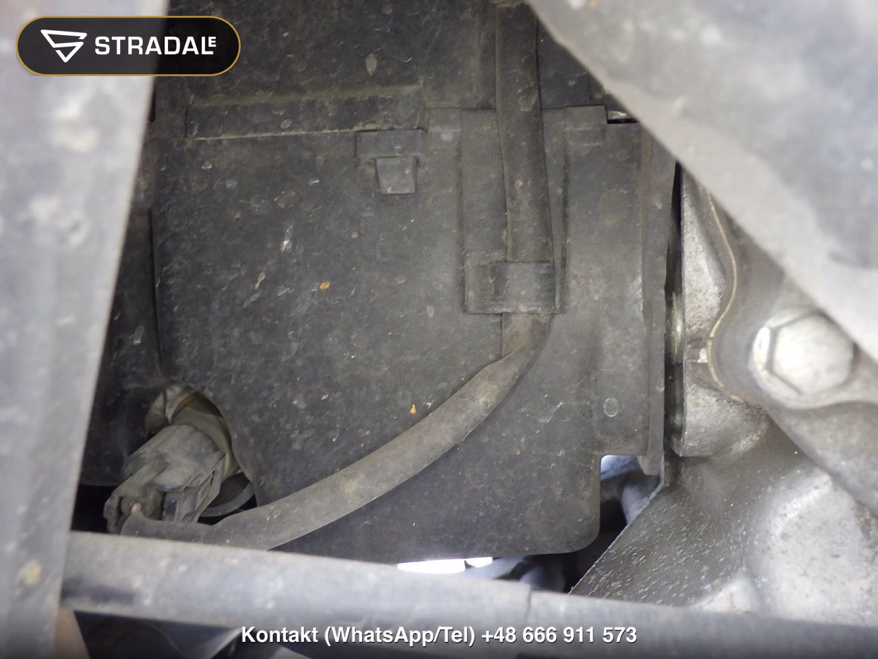 HONDA DIO110, miniaturka 5