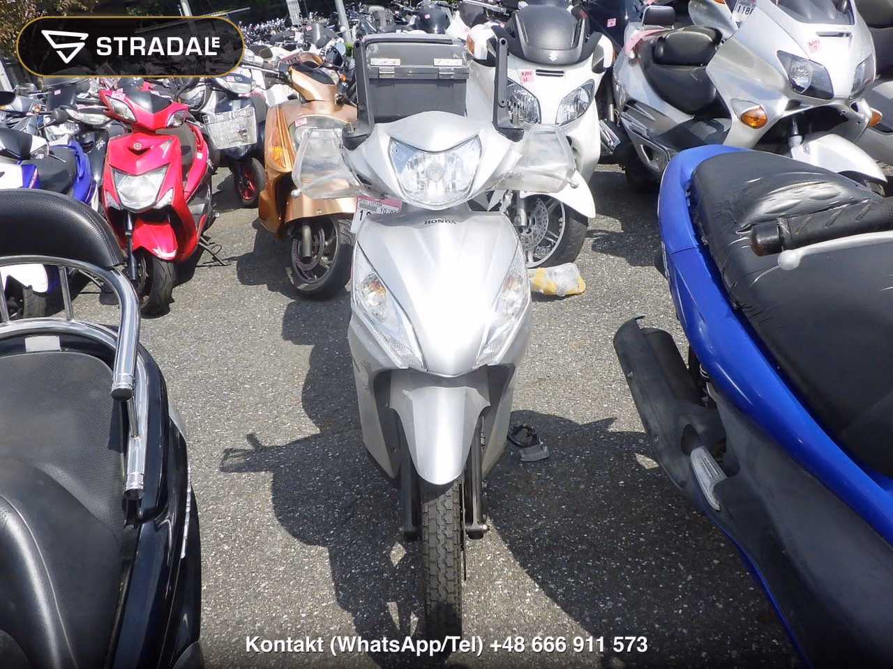 HONDA DIO110, miniaturka 6