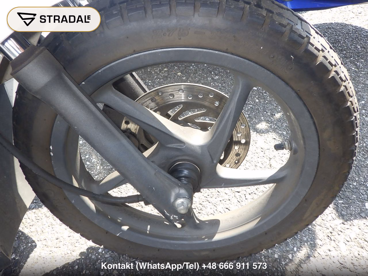 HONDA DIO110, miniaturka 8
