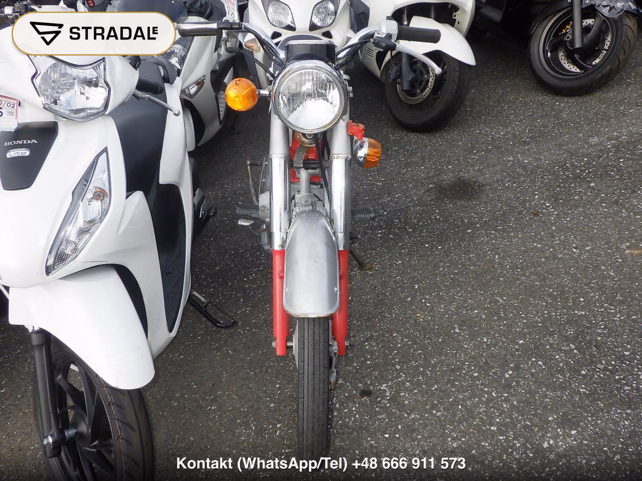 HONDA CD50S, miniaturka 6