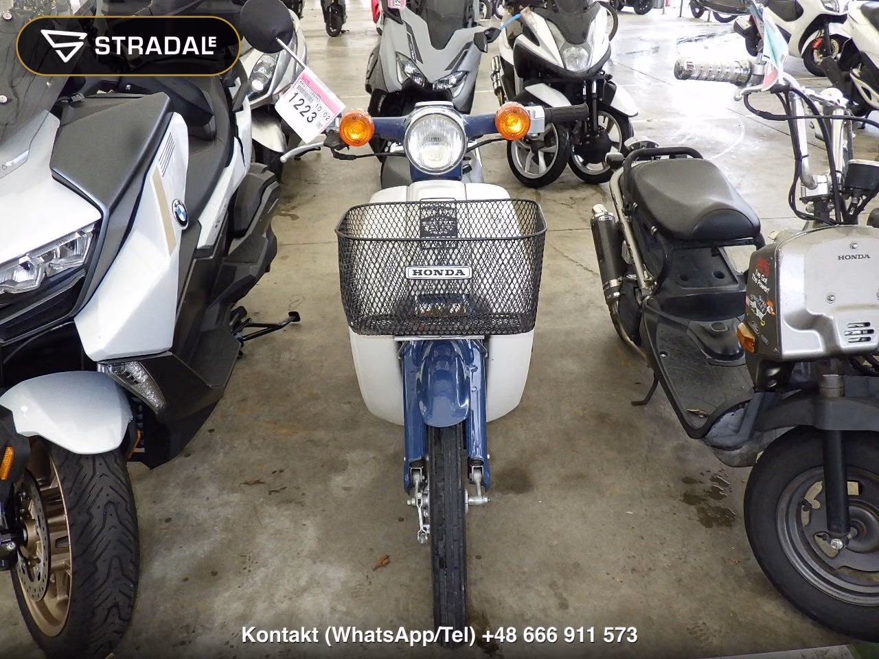 HONDA C50, miniaturka 6