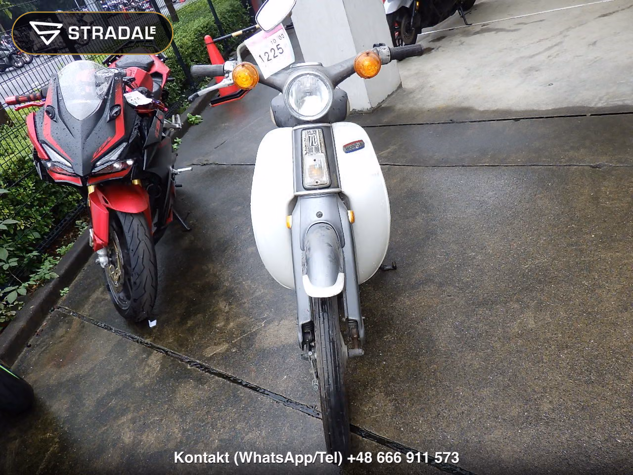 HONDA C70, miniaturka 6