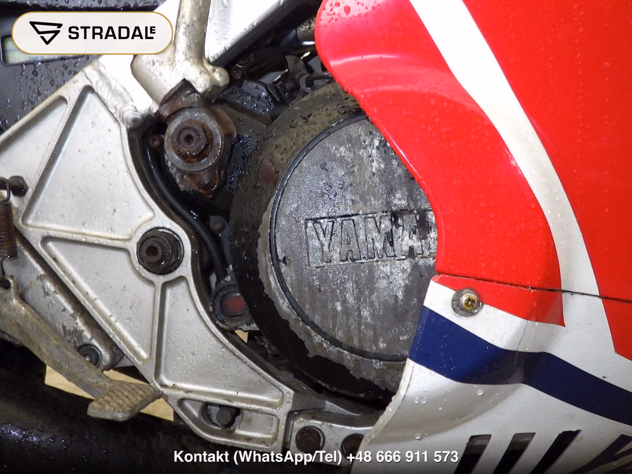 YAMAHA RZV500R, miniaturka 2