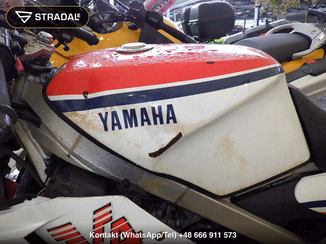 YAMAHA RZV500R, miniaturka 11