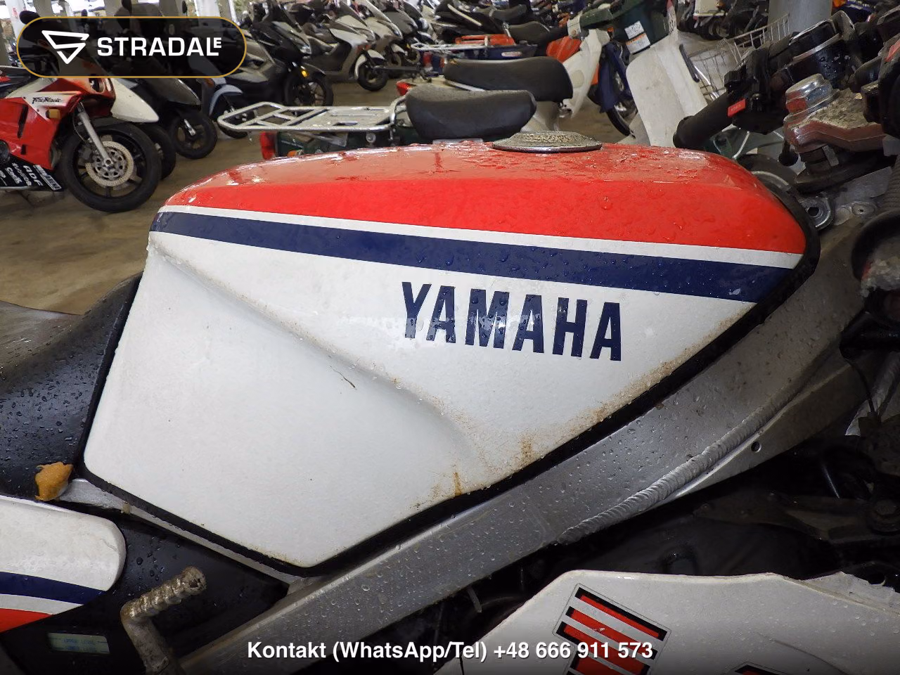 YAMAHA RZV500R, miniaturka 12