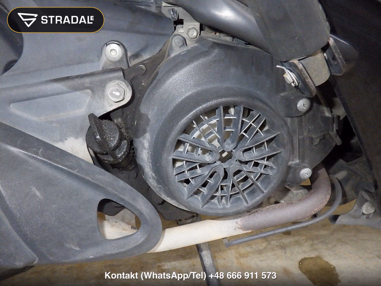 HONDA DIO110-2, miniaturka 4