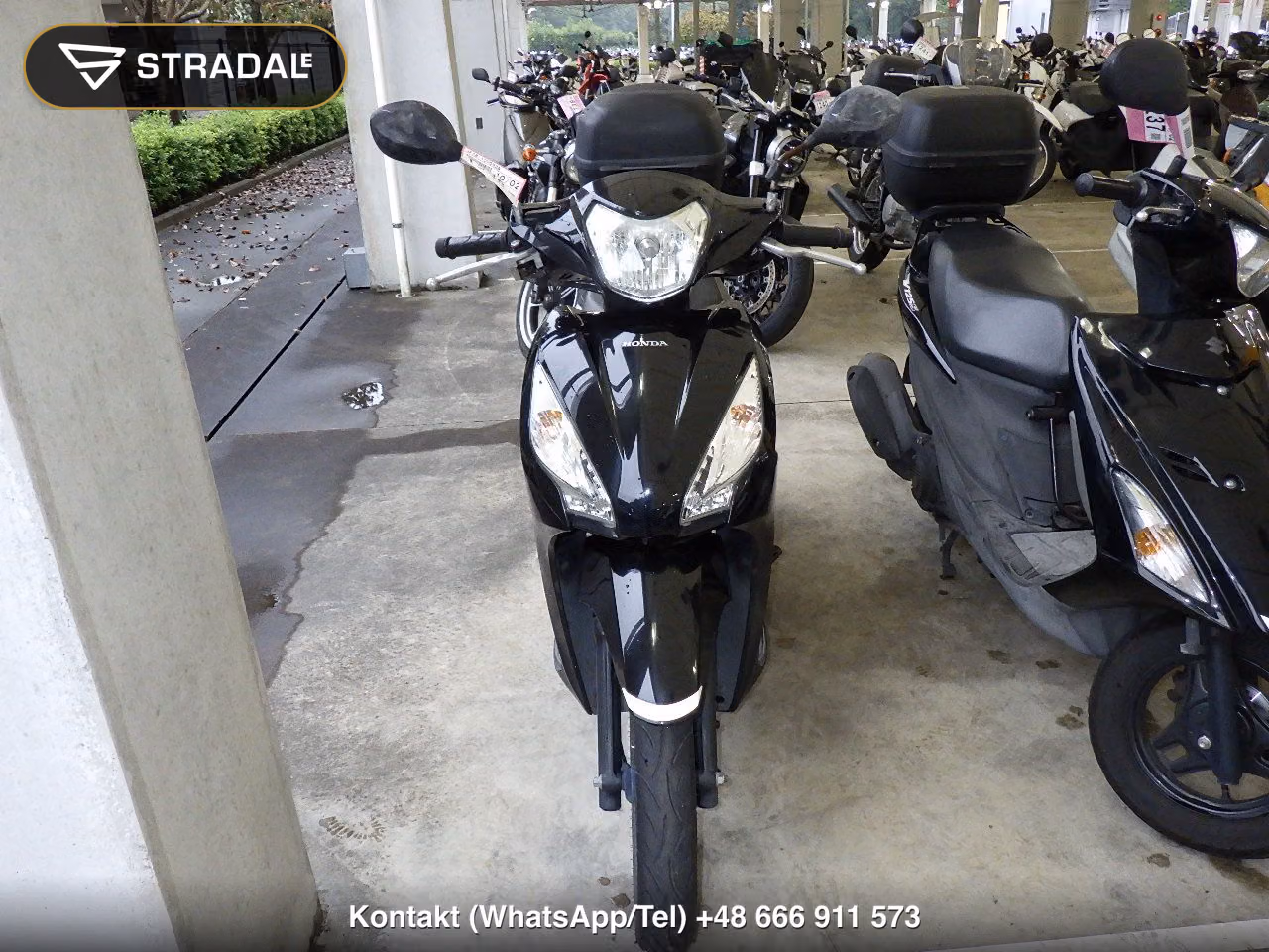 HONDA DIO110-2, miniaturka 6