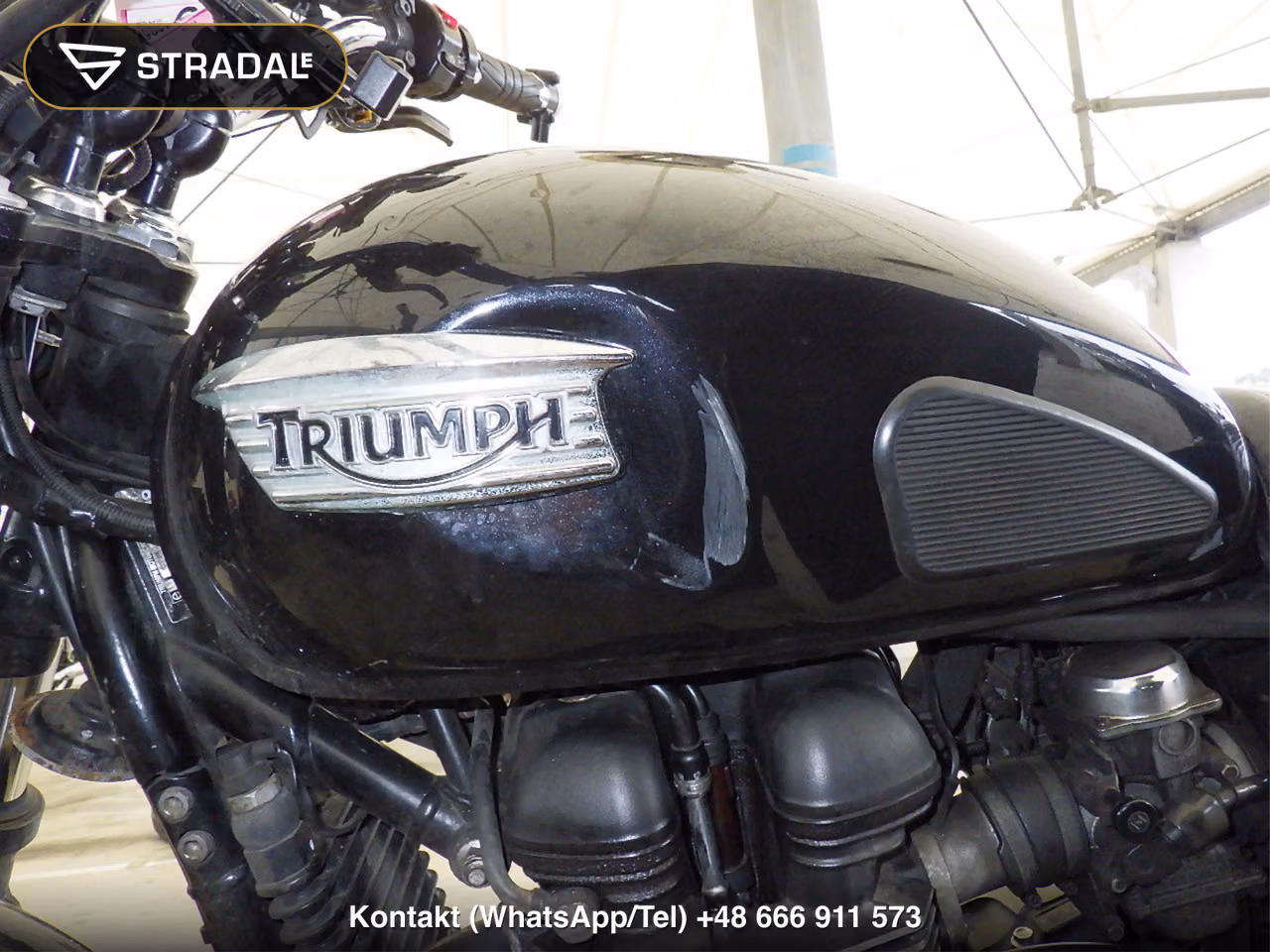 TRIUMPH ﾎﾞﾝﾈﾋﾞﾙ, miniaturka 11