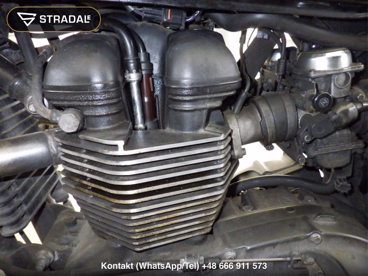 TRIUMPH ﾎﾞﾝﾈﾋﾞﾙ, miniaturka 3