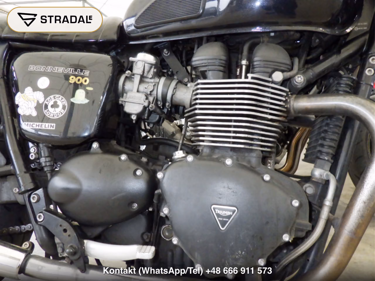 TRIUMPH ﾎﾞﾝﾈﾋﾞﾙ, miniaturka 4