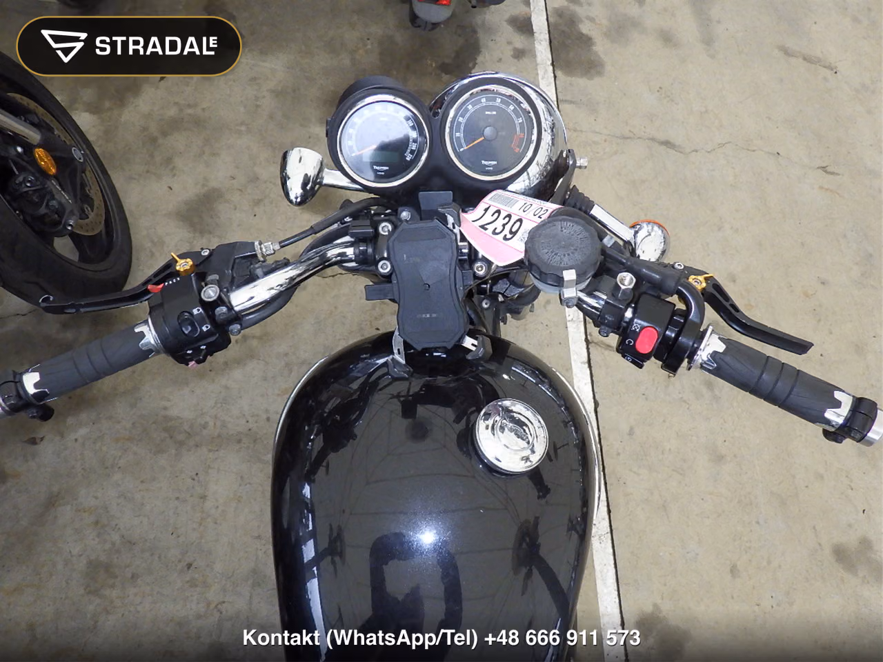 TRIUMPH ﾎﾞﾝﾈﾋﾞﾙ, miniaturka 9